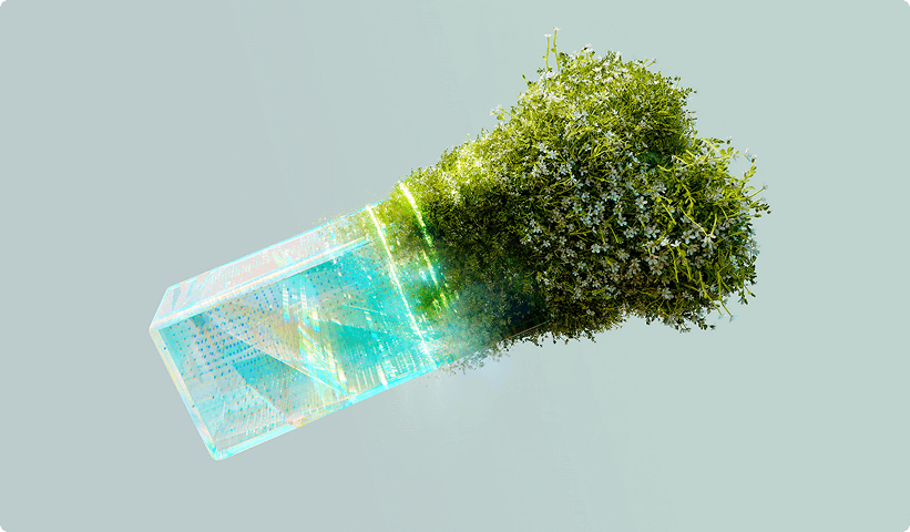 grass